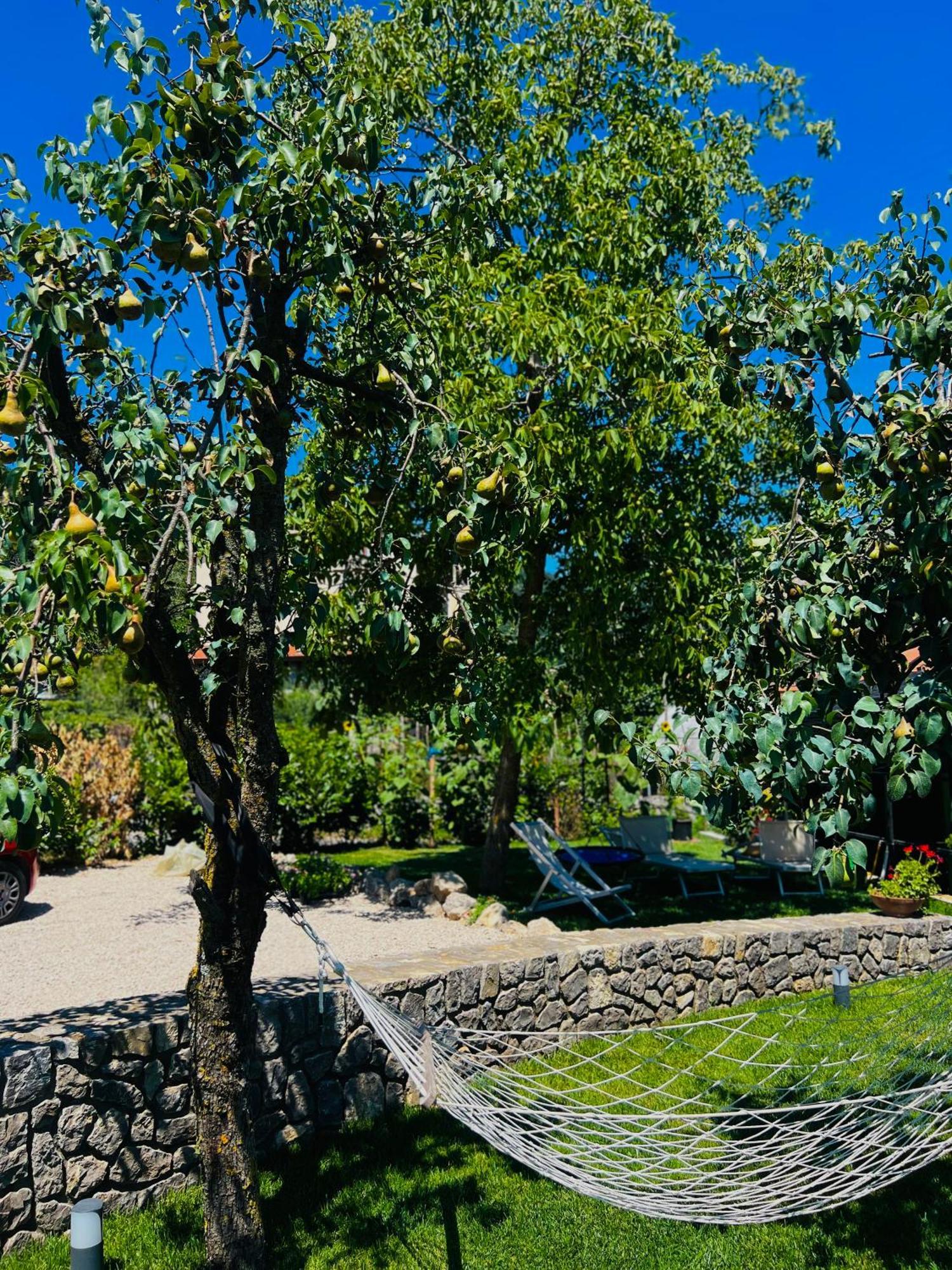 Dolce Risveglio Villa Agerola Exterior photo